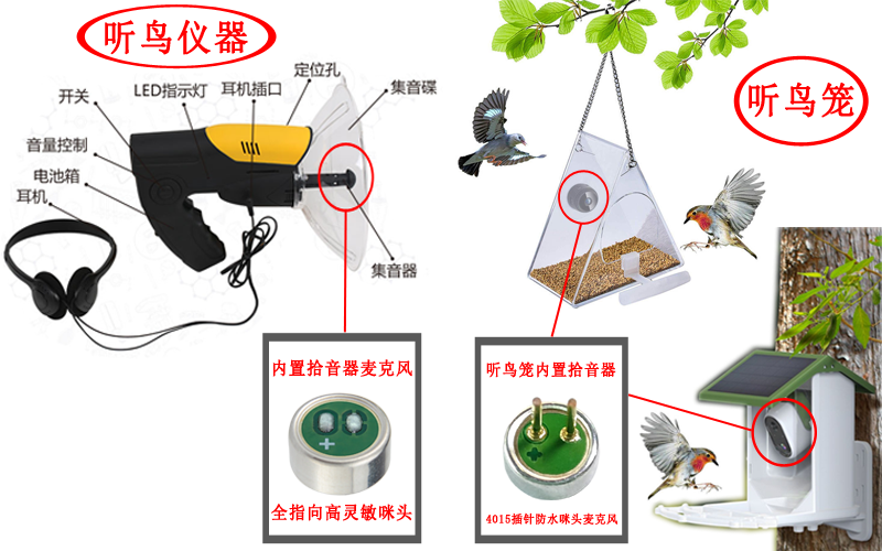 听鸟仪器、听鸟笼用麦克风（咪头）案例展示图